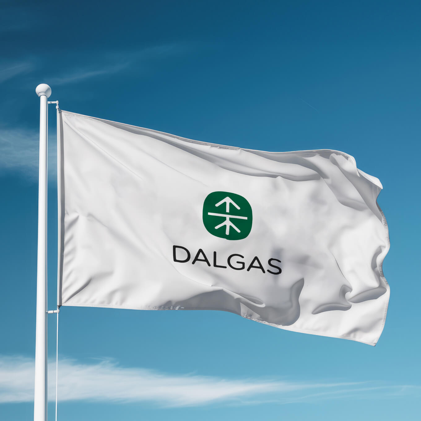 dalgas-flag