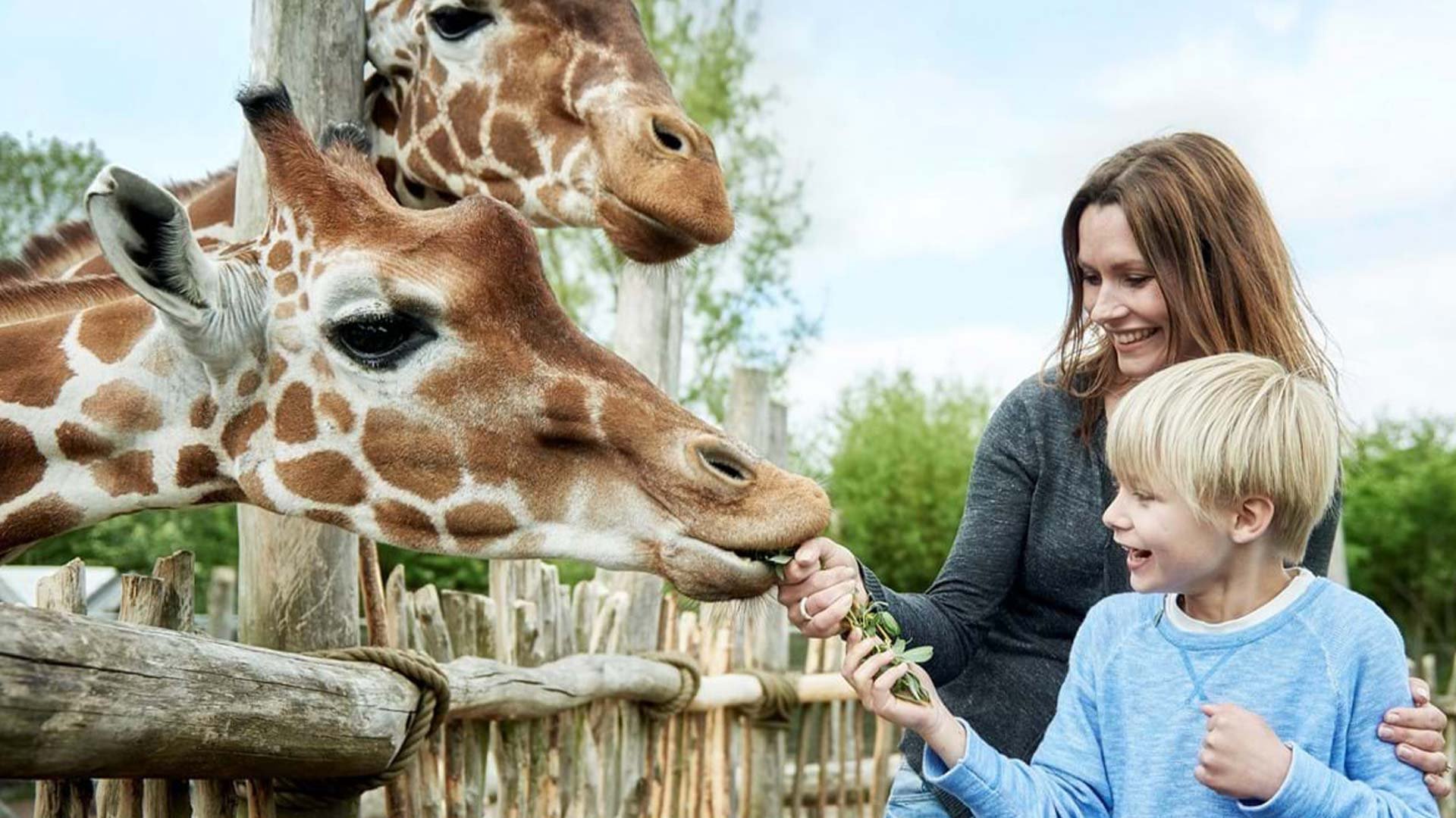 twoday RelateIT | Business Central løsning til Odense ZOO