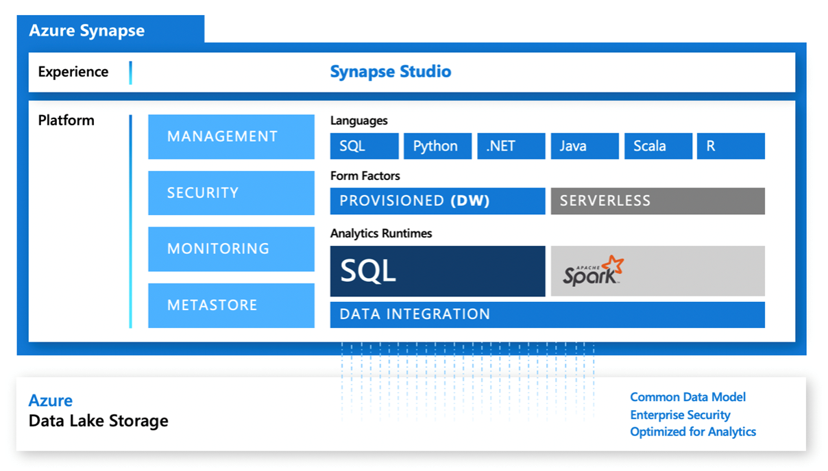 synapse1